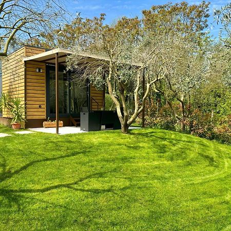 Seregner Agricamping & Homes - Adults Only 18 Monzambano Kültér fotó